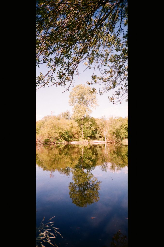 Wild Perspective with the Minolta P's (Riva Panorama) - Snappiness